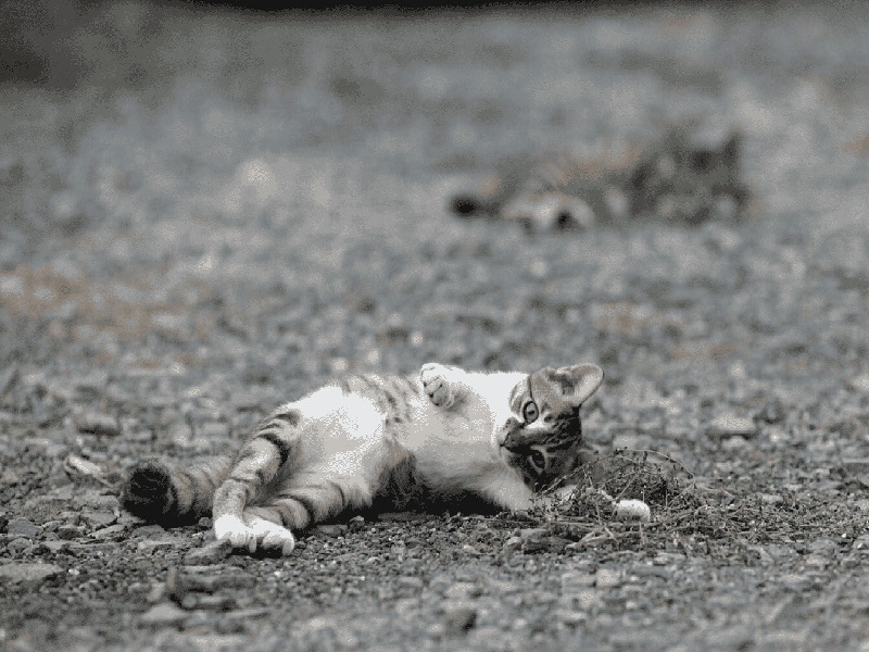 试管果冻手工制作（试管移植后平躺紧张）