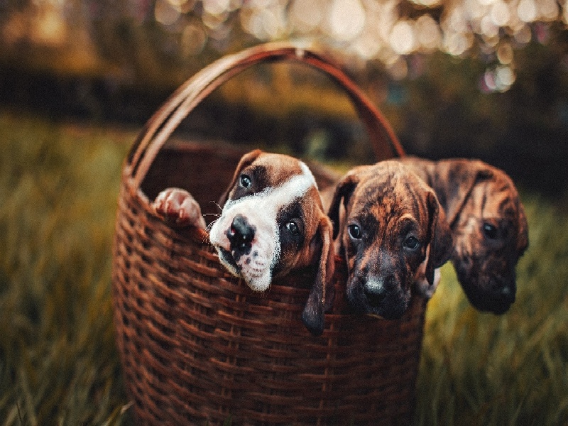 珠海试管做几代好,2024年珠海麻婆试管婴儿（试管妈妈有什么痛苦）